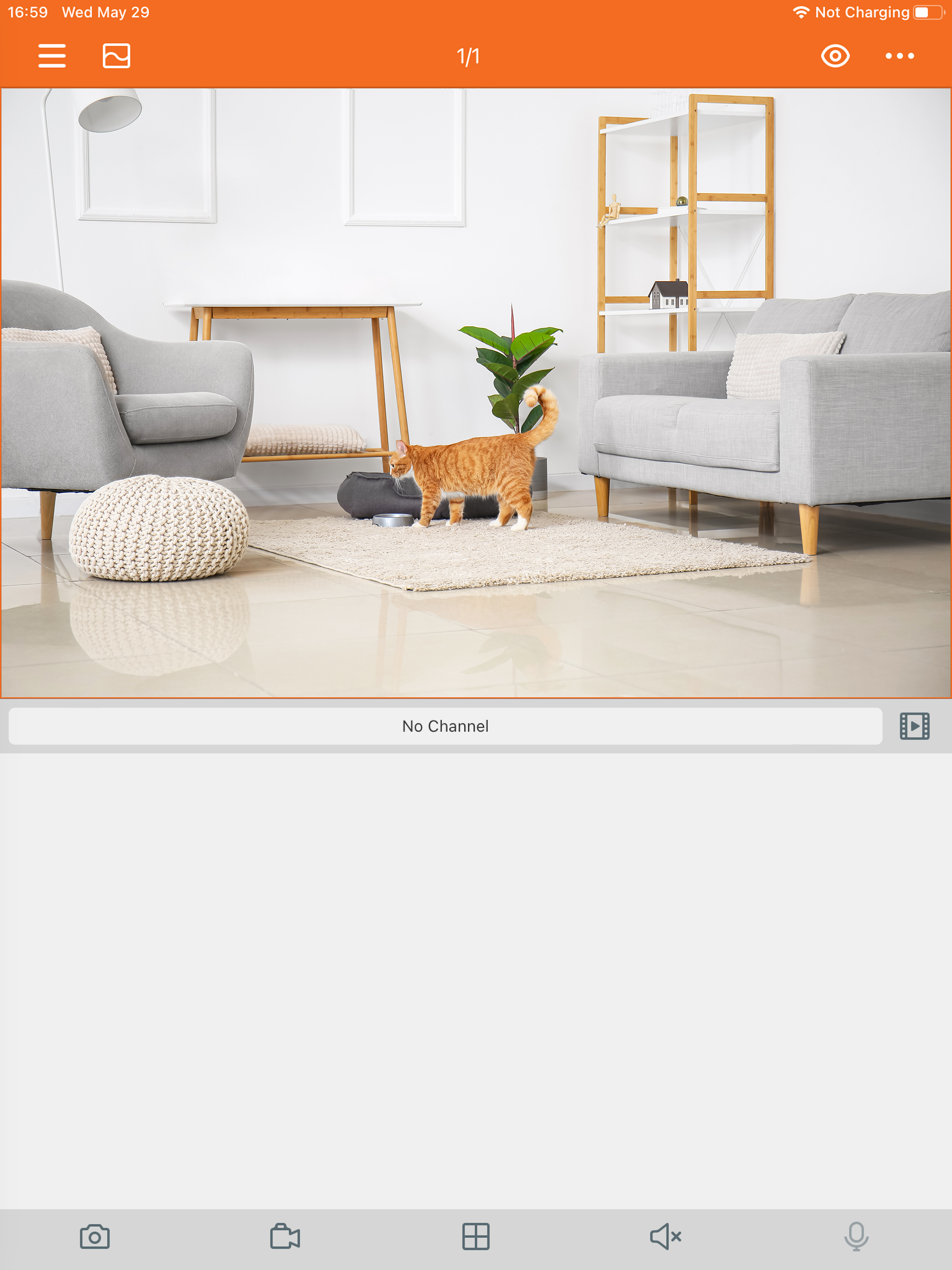 IH-VIEW PRO