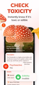Mushroom Identifier: MushFlow screenshot