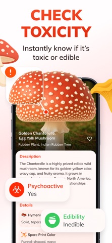 Mushroom Identifier: MushFlow Screenshot 3 of 4