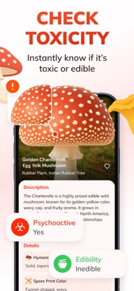 Mushroom Identifier: MushFlow screenshot 3