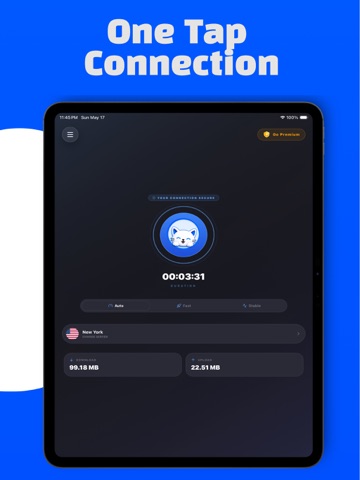 SafeCat VPN: Fast & Secure iPad screenshot