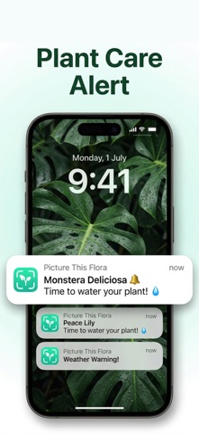 Flora - Plant Identifier Screenshot 5 of 5