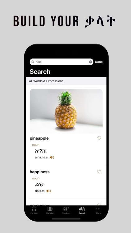 Amharic - Language Guide screenshot-3