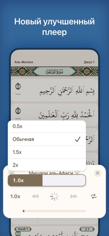 Академия Корана: Коран, тафсир iPhone screenshot 6