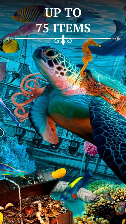 Bright Objects・Search and find