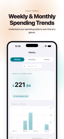 Spent Today: Expense Tracker Screenshot 5 of 8