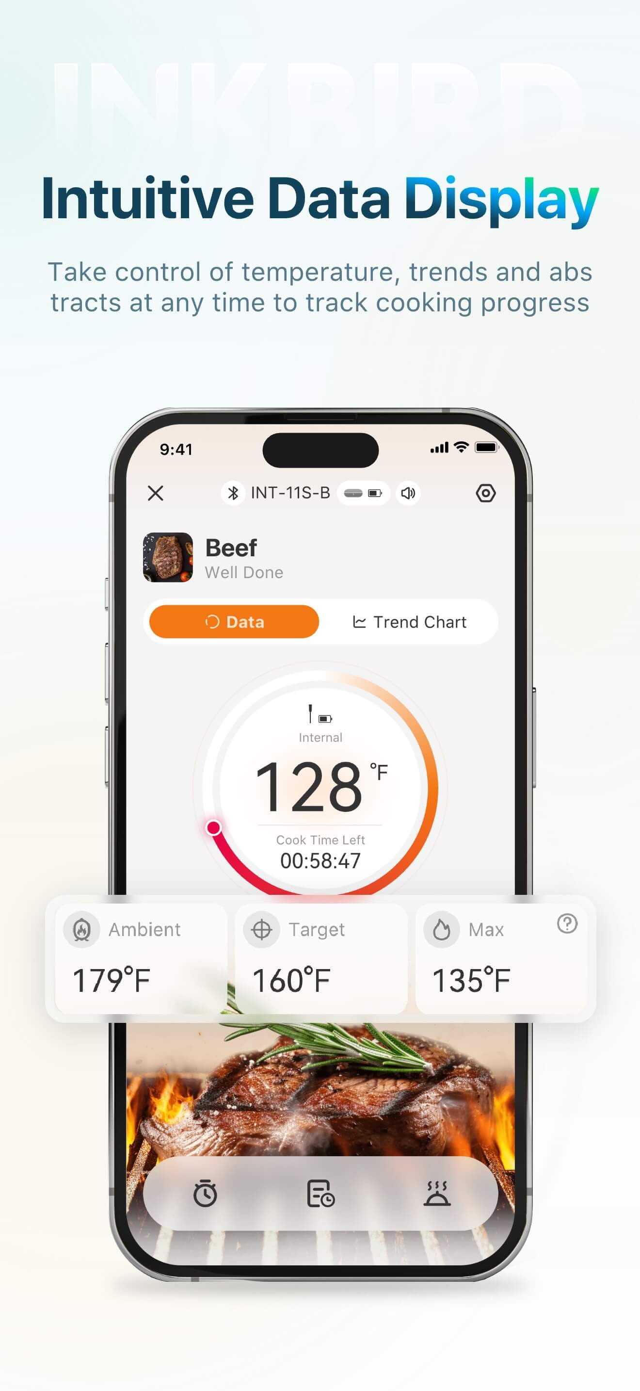 INKBIRD screenshot 2