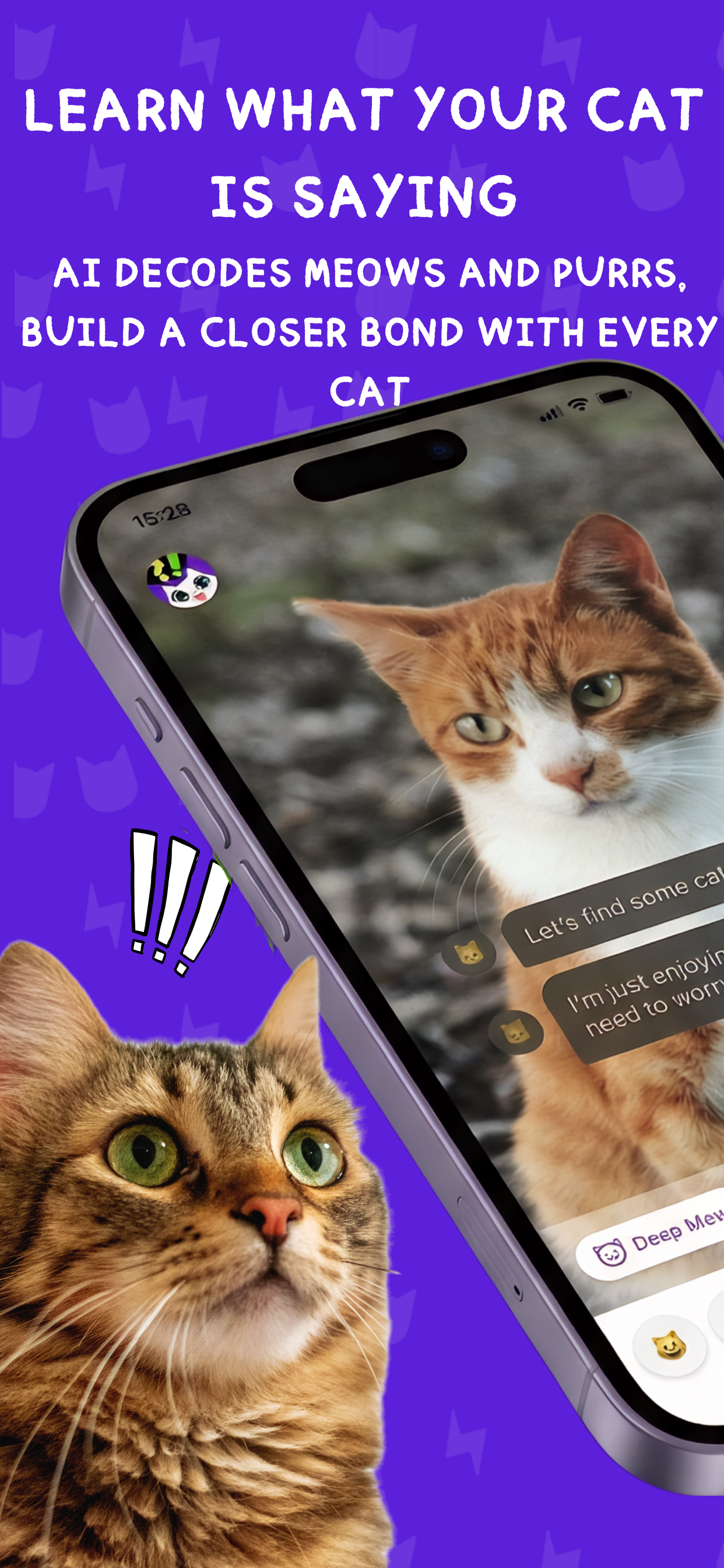 Mewt - Purrfect Map
