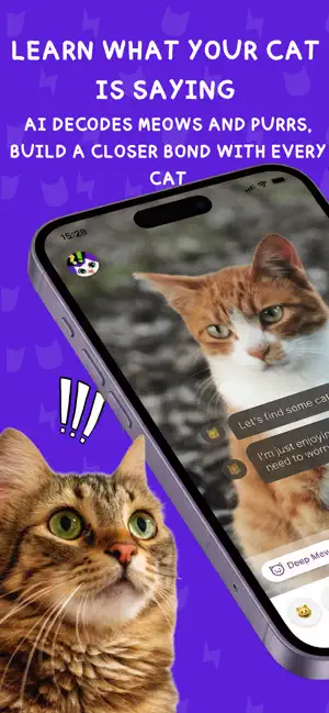 Mewt - Purrfect Map screenshot 4
