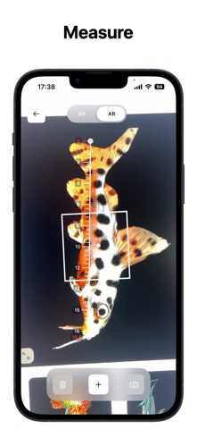 Tandio Screenshot 5 of 5
