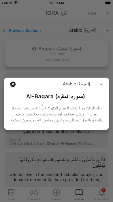Mounir Screenshot