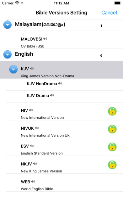 Malayalam English Audio Bible Screenshot