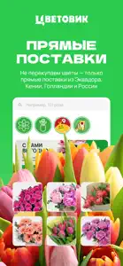 Цветовик: доставка цветов screenshot #1 for iPhone