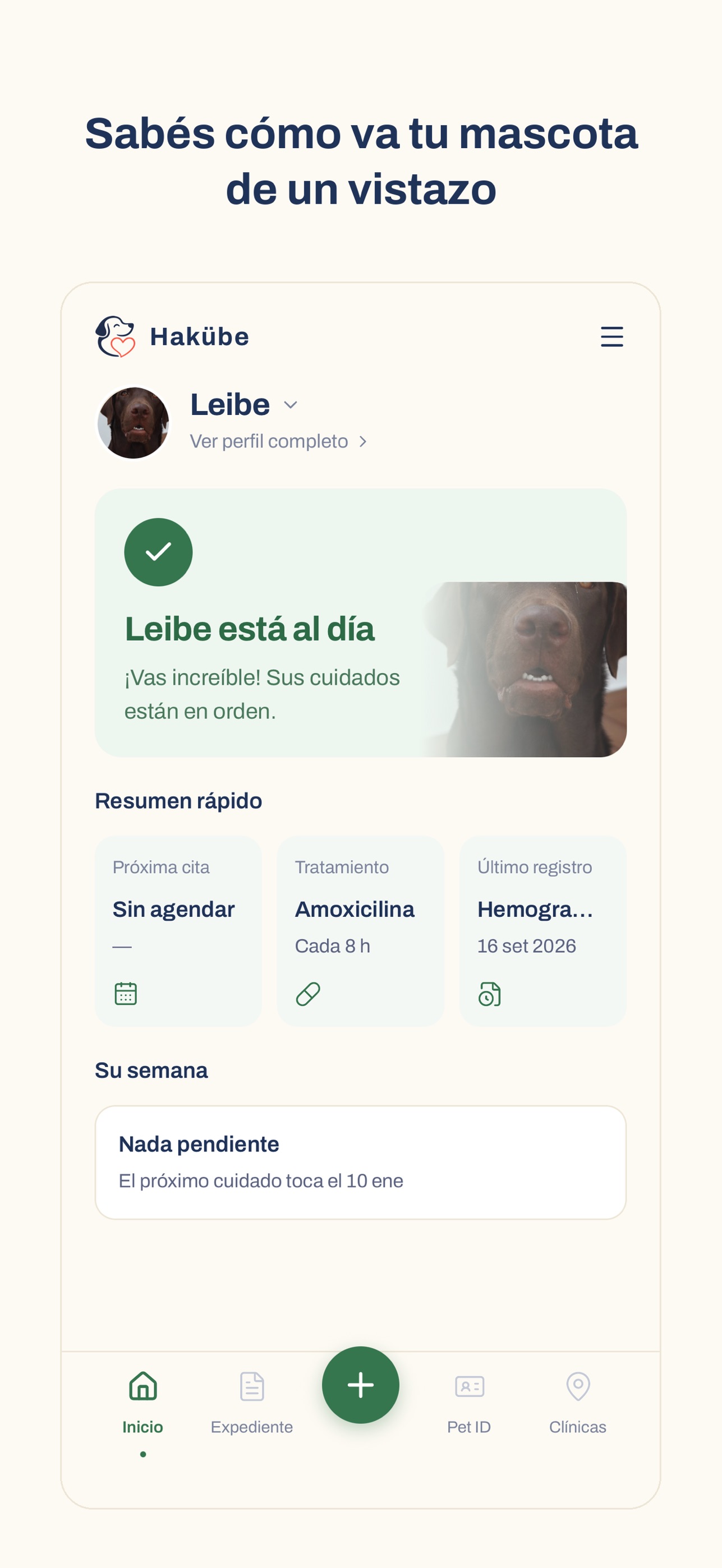 Screenshot 2 of Hakübe