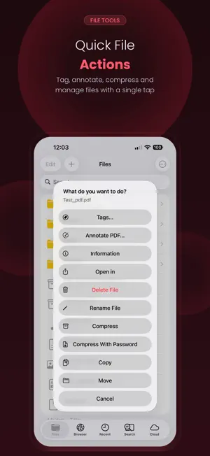 eFiles: File Manager screenshot 4