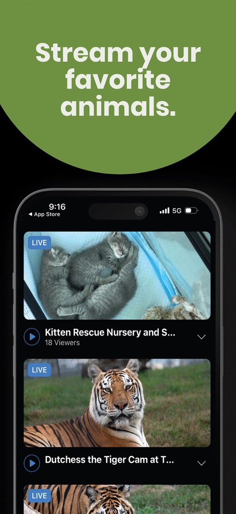 Explore.org: Live Animal Cams - Lifestyle App | MWM