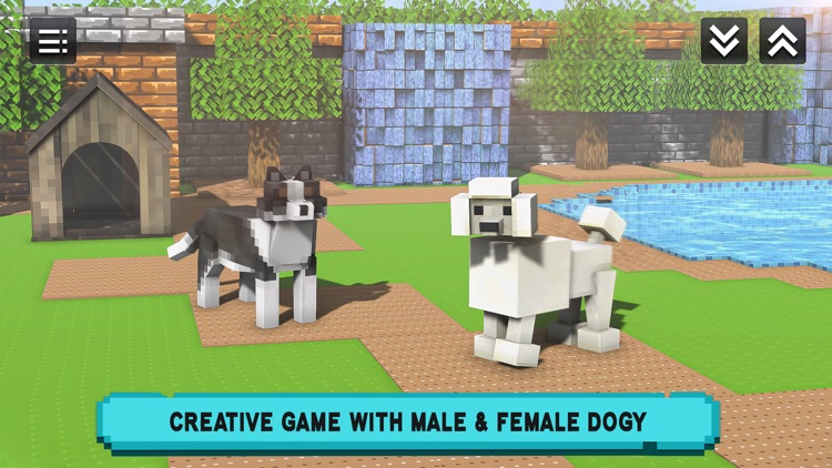 Virtual Pet: Am Kitty Cat Game