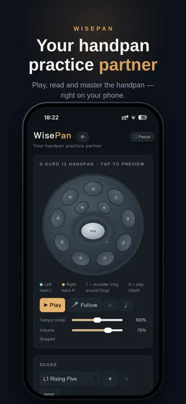 WisePan-Handpan RhythmExercise screenshot 1 of 5