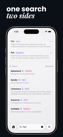 Palabros: Dictionary screenshot