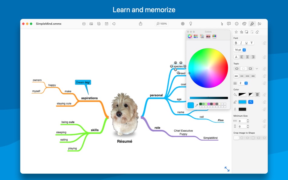 #2. SimpleMind Pro (macOS) Av: ModelMaker Tools BV