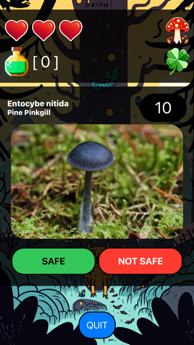 Death By Mushroom Screenshot