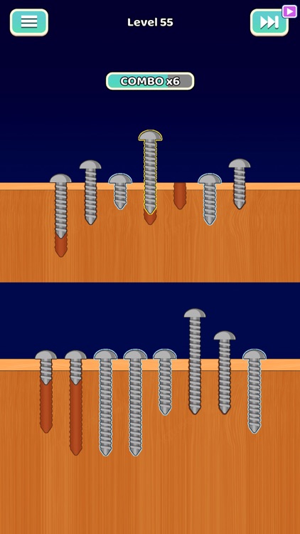 Screw Sorting Quest screenshot-3
