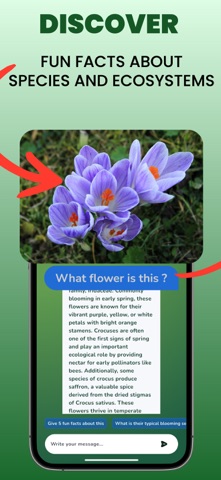 Nature Scanner: AI Identifier Screenshot 2 of 4