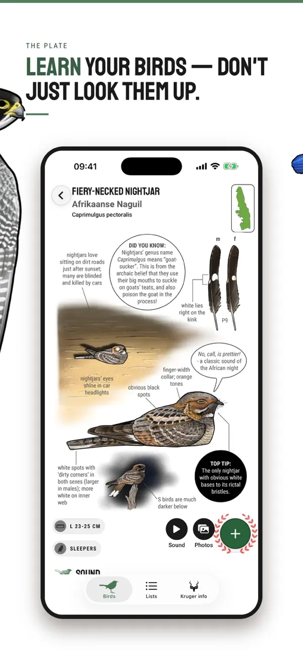 Screenshot #3 pour Kruger Birding by Firefinch