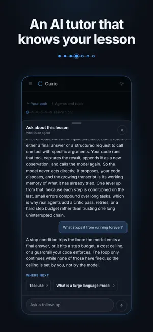 Curio: Learn AI, Prove It screenshot 4