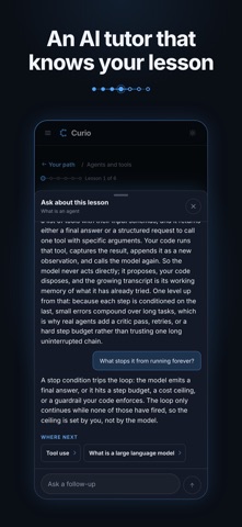 Curio: Learn AI, Prove It Screenshot 4 of 7