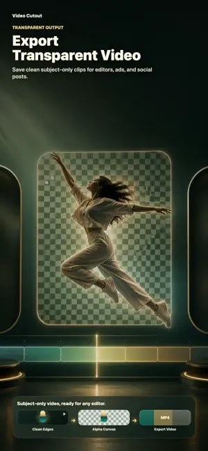 Rescene: AI Video BG Remover screenshot 2