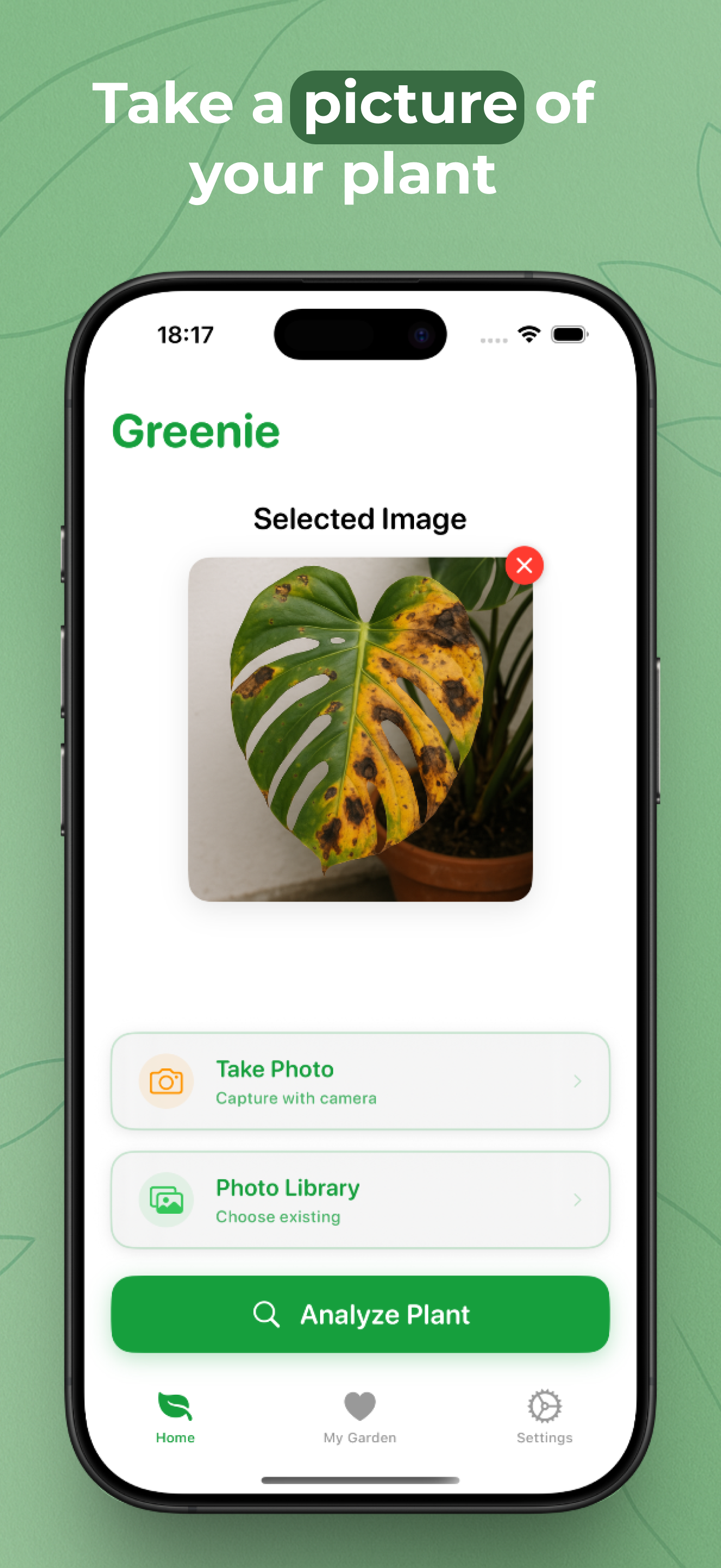 Identify Plants AI: Greenie