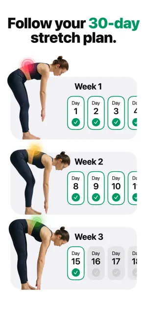 Stretching Workout screenshot 3