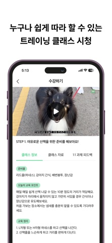 굿잡버디 - 비대면 반려견 교육 screenshot