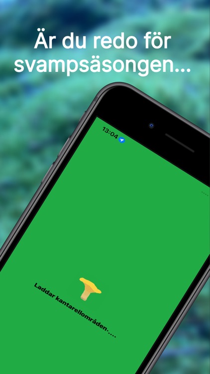 Kantarellappen screenshot-9