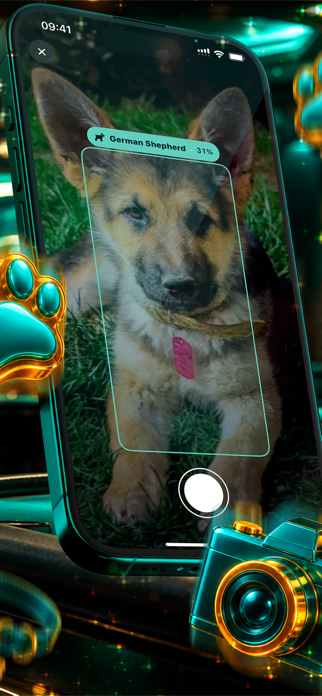 Pawkin Screenshot 5 of 6