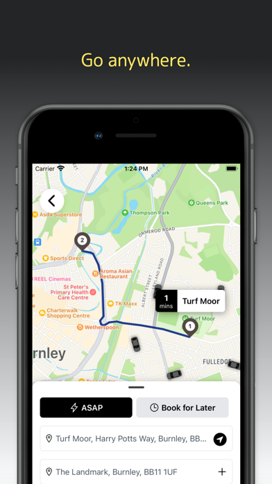 Delta Taxis Screenshot