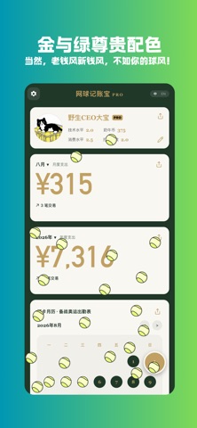 Tennis Bank网球记账宝 screenshot