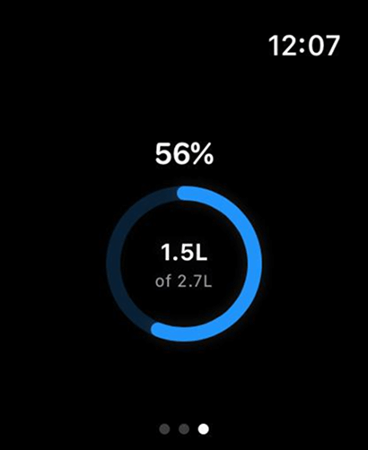 Intermittent Fasting Trackerㅤ