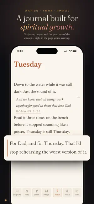 Dayspring Journal screenshot 1