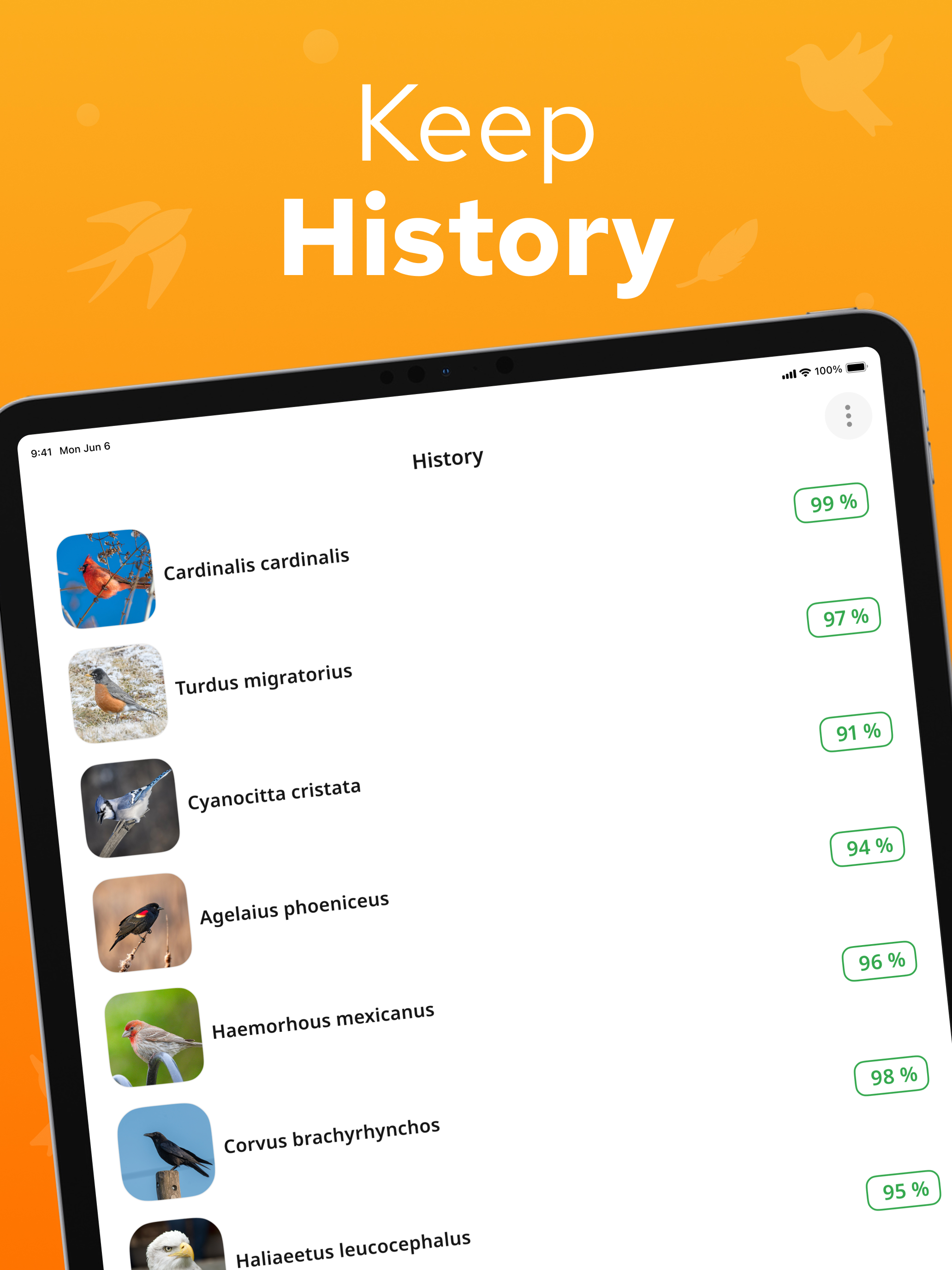 Bird Identifier – Birdium screenshot 13