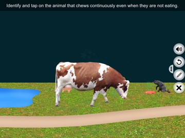Ruminant Digestion-EduTech Era iPad screenshot