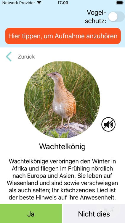 Zwitschomat - Vogelerkennung
