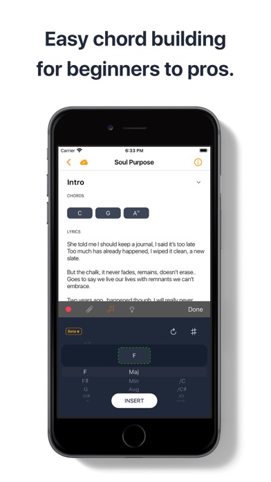 Songwriter Pro: Lyric Studio Screenshot