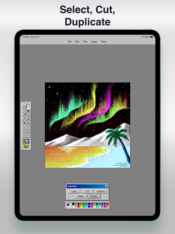 Paint.exe - Retro Paint iPad screenshot