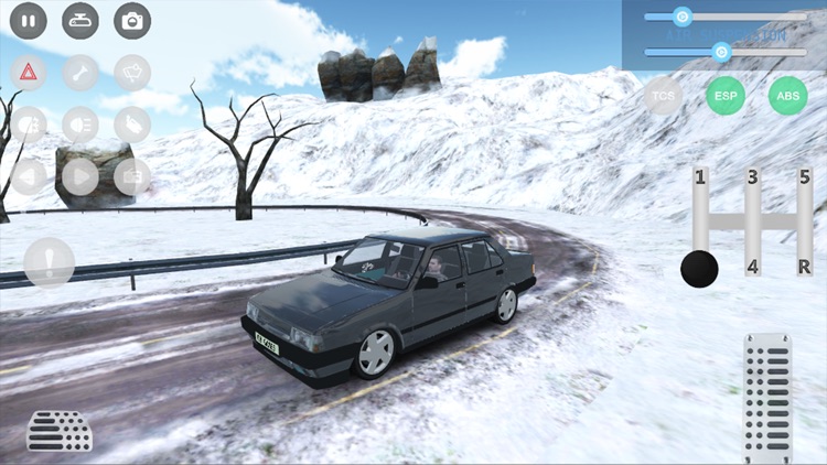 Car Parking and Driving Sim screenshot-3