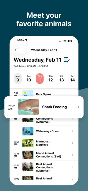 Discovery Cove screenshot 4