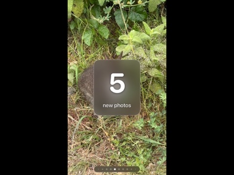 Photo Frame± app screenshot