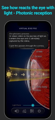 Virtual Eye Pro screenshot