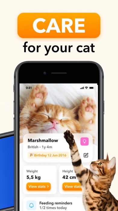 Cat Games for Cats Screenshot